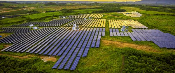 Solar photovoltaic panel with aerial green vegetation base